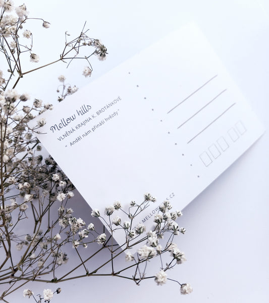 Pohlednice "Stehlík a klouček"